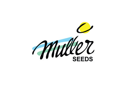 شرکت Muller Seeds هلند